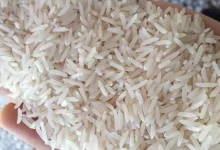 قیمت برنج