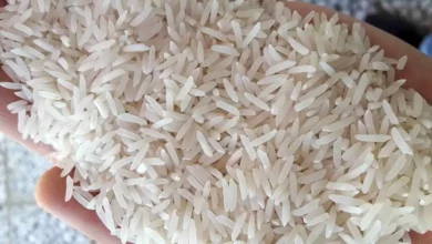 قیمت برنج
