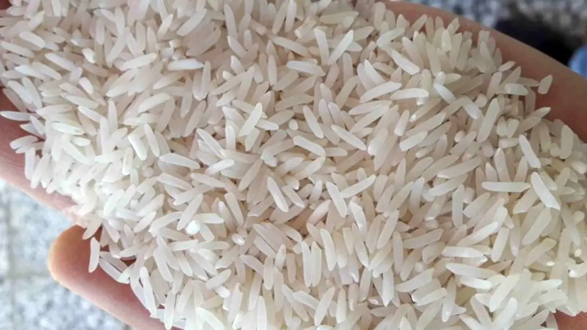قیمت برنج