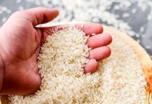قیمت+برنج