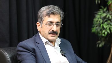 نادر-مهرگان