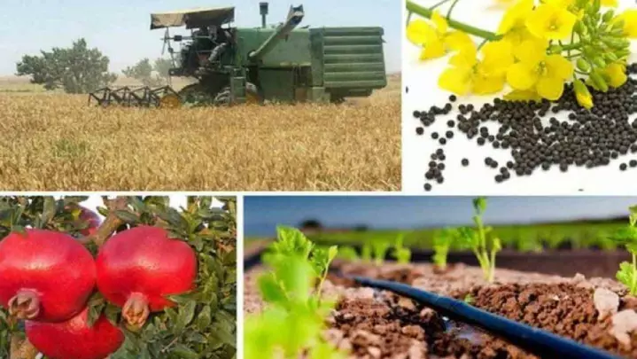 نرخ تورم در بخش کشاورزی