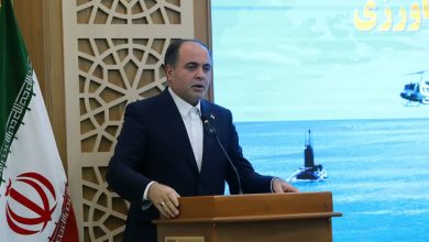 نوری قیمت برنج