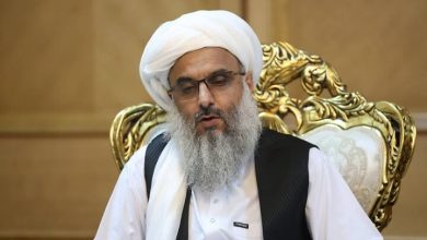 همکاری ایران افغانستان