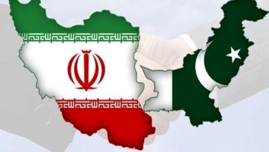 وزیر کشور پاکستان وارد تهران شد