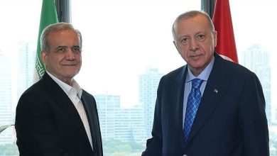 پزشکیان و اردوغان
