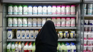 گران‌فروشی لبنیات پایان دارد