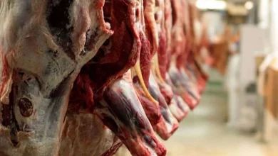 گوشت قرمز