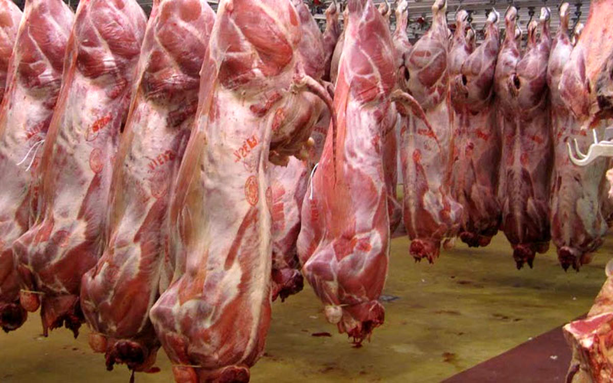 هشدار اتحادیه دام: ما گوشت داریم، مافیا نمی‌گذارد ارزان شود