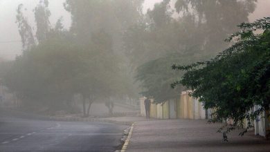 آسمانی صاف با وزش باد شدید و گرد و خاک در روز جمعه