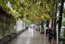 هواشناسی باران