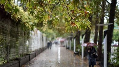 هواشناسی باران