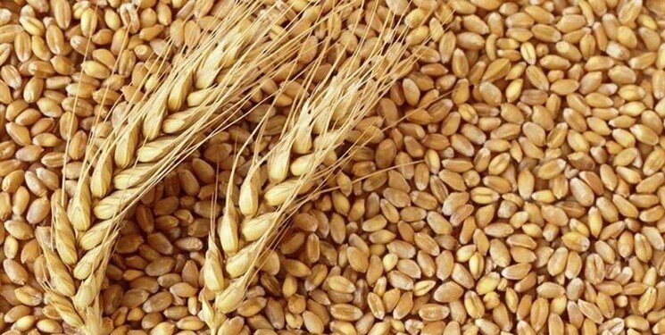 بخشنامه جدید قیمت گندم