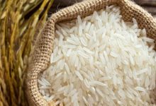 برنج طارم و هاشمی