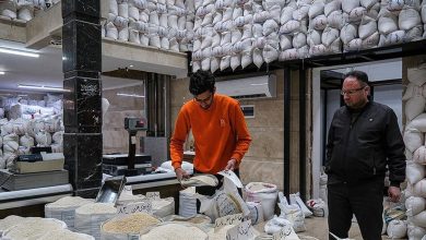برنج هاشمی