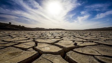 تهران به بیابان تبدیل می‌شود