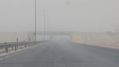 توده عظیم گرد و خاک بندرعباس را فرا گرفت