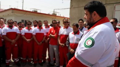 واردات تا توزیع دارو