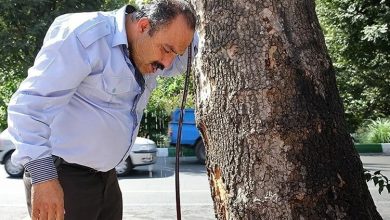 دهلران