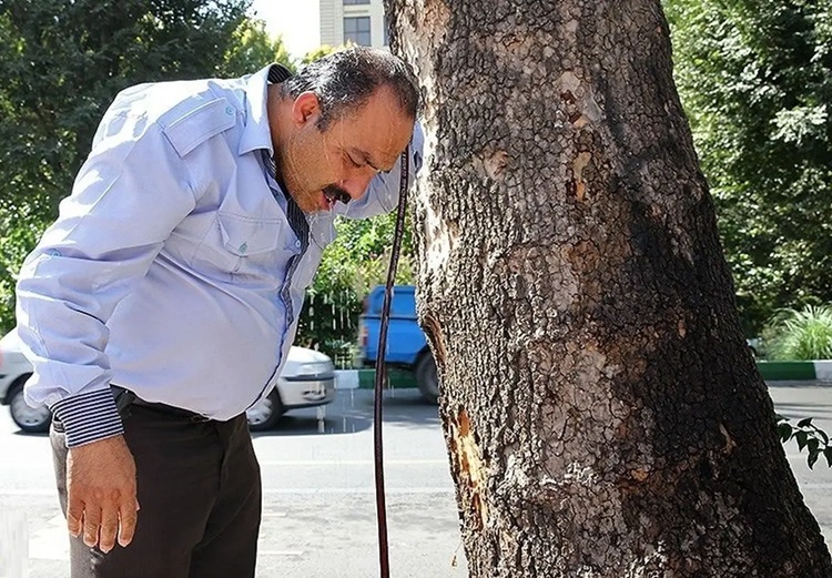 دهلران