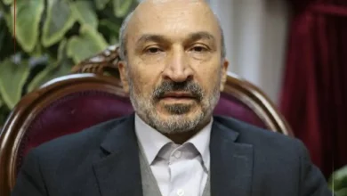 دکتر محمدحسین امید