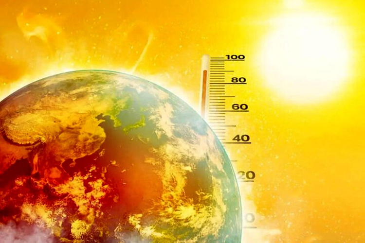 سازمان هواشناسی