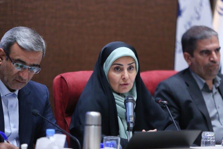 سرمایه_گذاری چینی_ها در پروژه برقی_کردن قطار مشهد-تهران جدی است