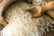 سقوط ۳۵ درصدی قیمت برنج شمال