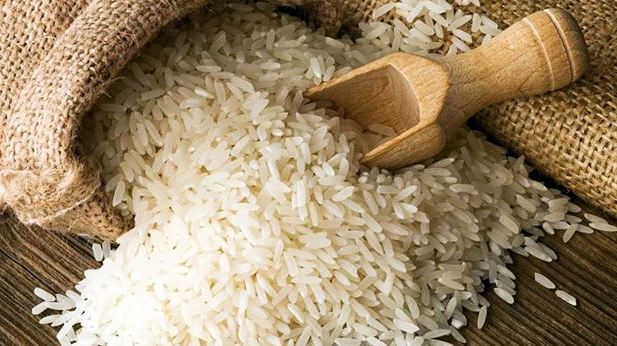 سقوط ۳۵ درصدی قیمت برنج شمال