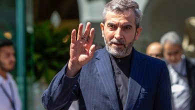 علی باقری
