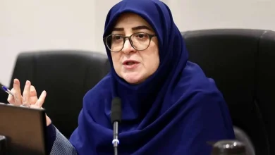 سخنگوی دولت