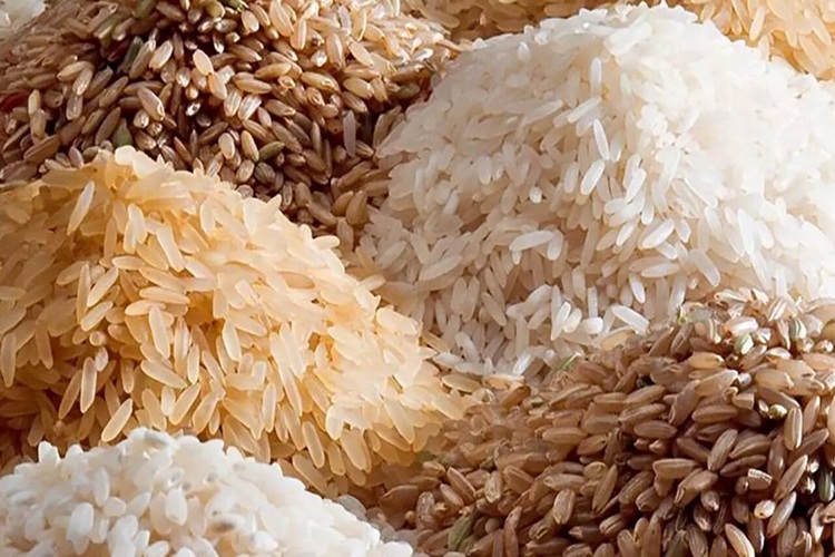 قیمت برنج