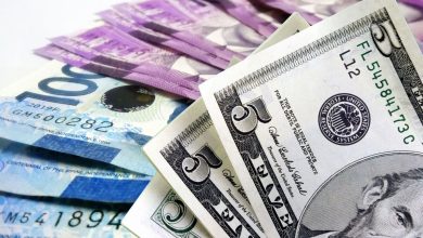موقتی است یا پایدار