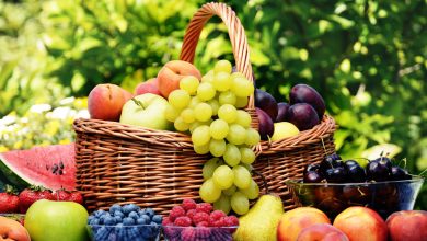 قیمت میوه