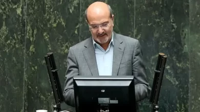 محمدرضا بادامچی