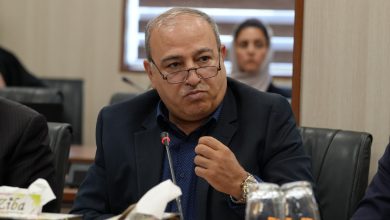 محمدرضا سعدی