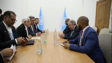 محمدرضا عارف سازمان ملل
