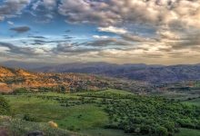 مرتعداری با رویکرد اقتصادی