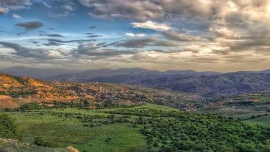 مرتعداری با رویکرد اقتصادی