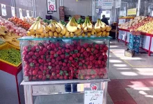 انواع میوه
