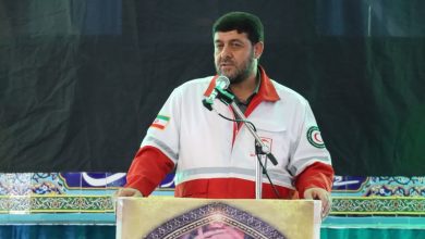 زائر اربعین