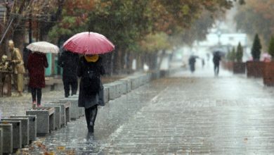 سازمان هواشناسی