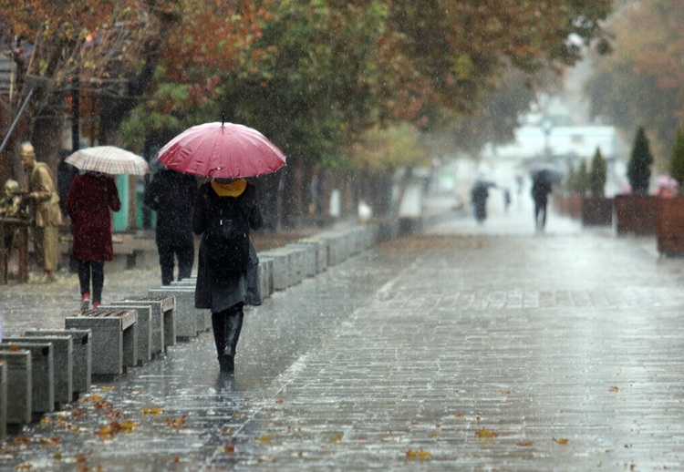 سازمان هواشناسی