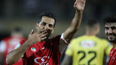 وحید امیری