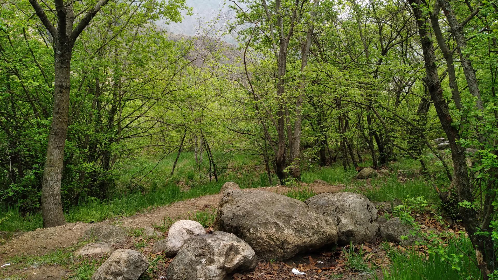 خون محیط‌بانان