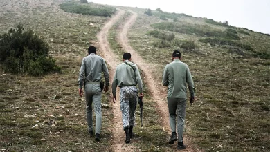 مأموران محیط زیست