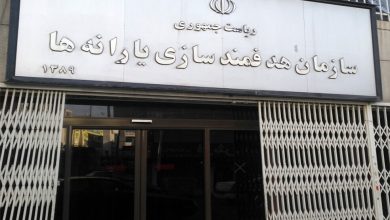 یارانه‌های نقدی هدفمند