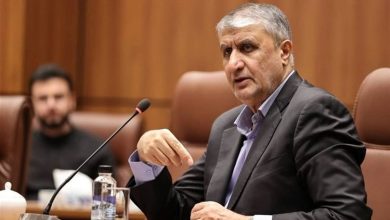 اسلامی: صنعت هسته‌ای ایران نماد موفق توسعه علم و فناوری است