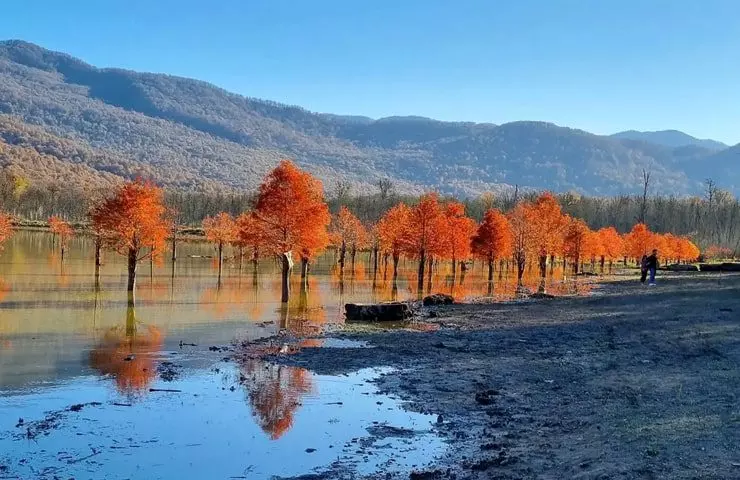 الندان