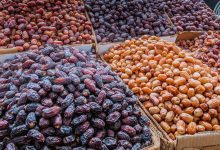 ایران با تولید خرما در رتبه دوم جهانی